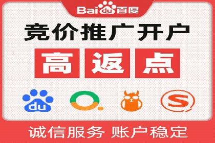 SEM推广技巧：成功案例深度剖析